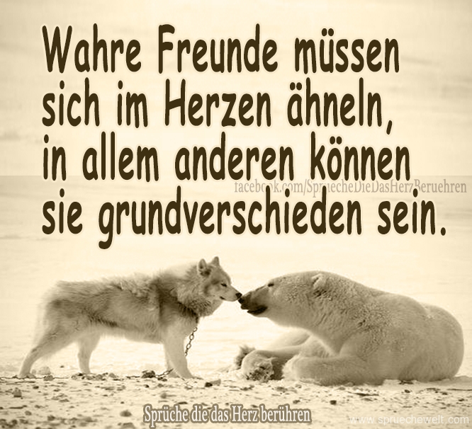 Wahre Freunde muessen sich im Herzen aehneln