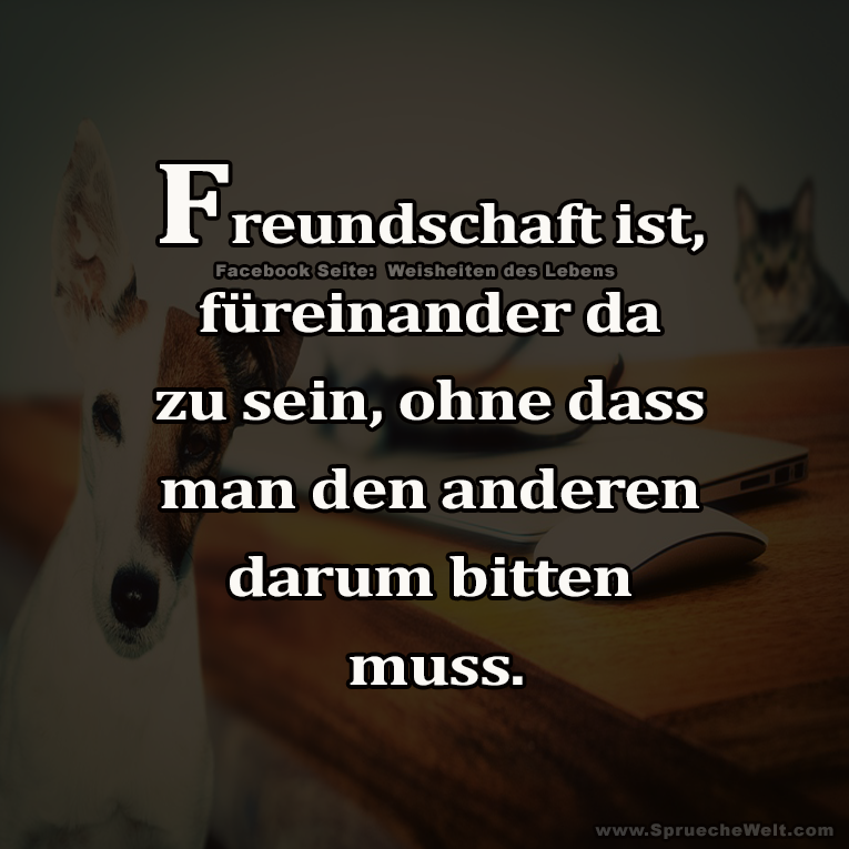 Freundschaft ist