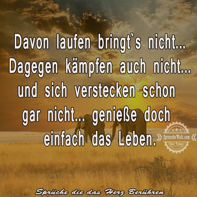 Spruchewelt Spruchbilder