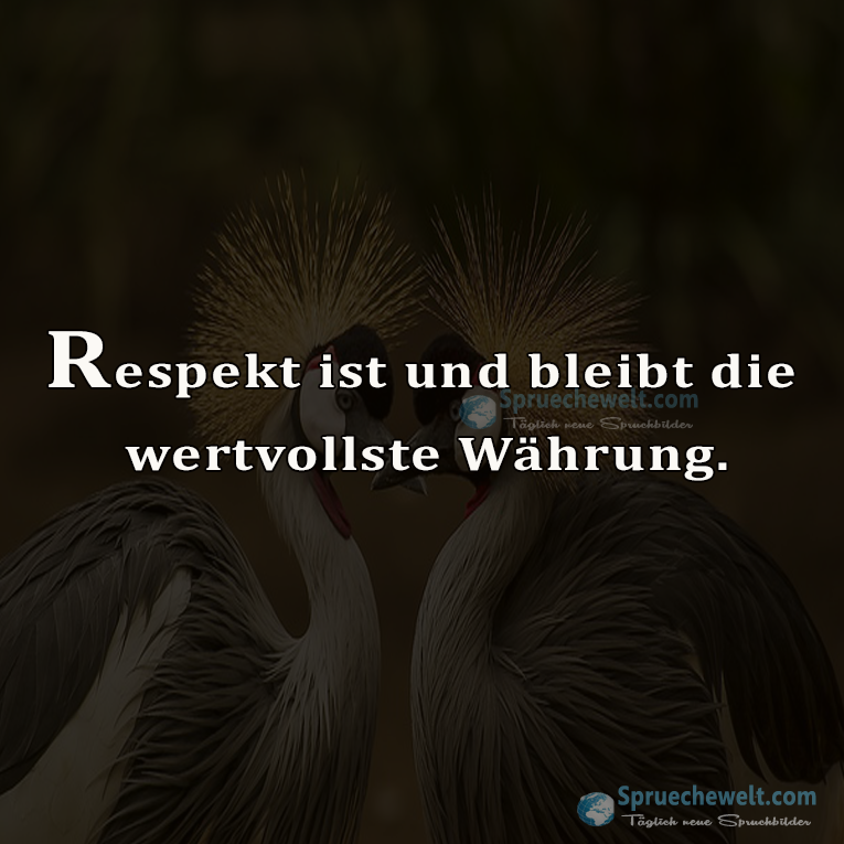 Respekt ist und bleibt die wertvollste Waehrung.