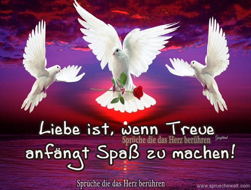 Liebe ist, wenn Treue anfaengt Spass zu machen!