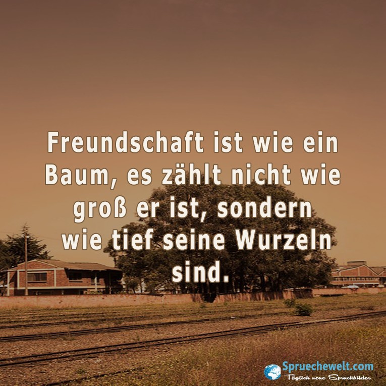 Freundschaft ist wie ein Baum