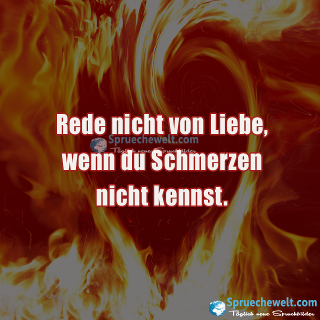 Rede nicht von Liebe,