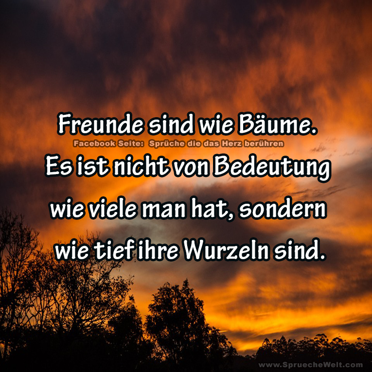 Freunde sind wie Baeume