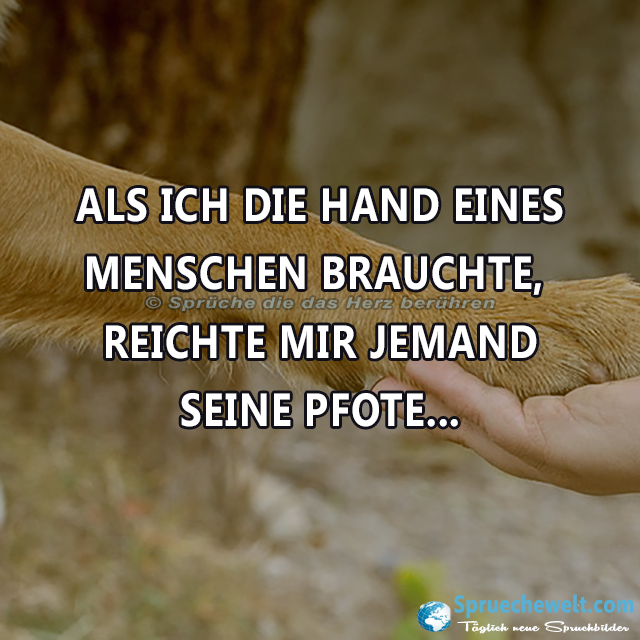 ALS ICH DIE HAND EINES MENSCHEN BRAUCHTE