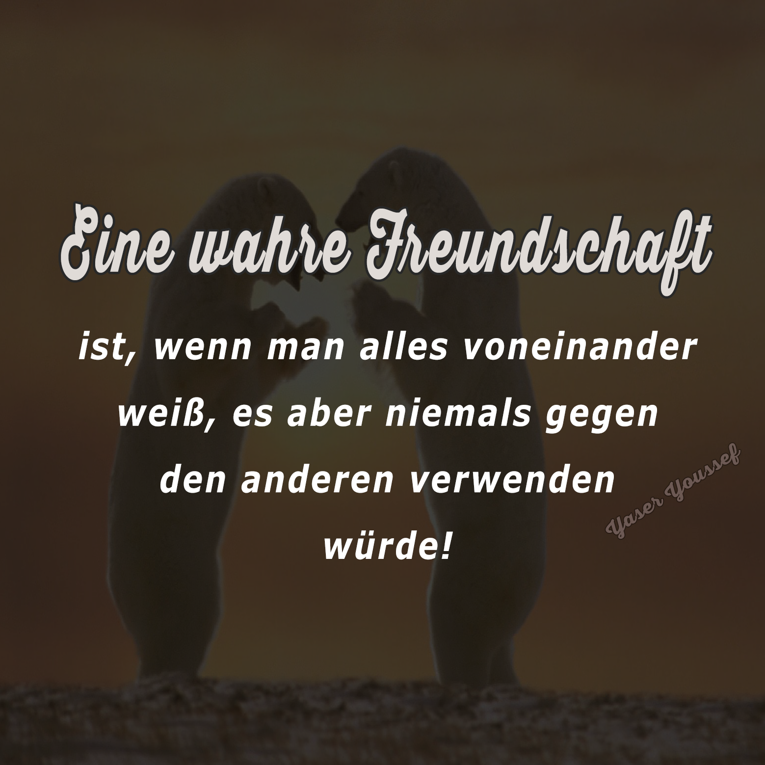 Eine wahre Freundschaft