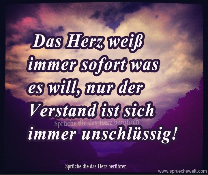 Das Herz weiss immer sofort was es will