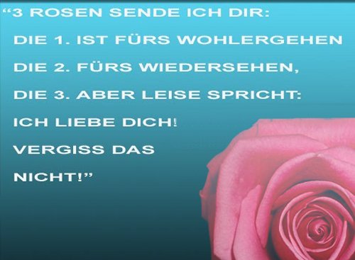 3 Rosen sende ich dir 