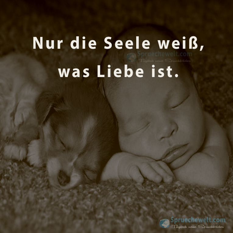 Nur die Seele weiss, was Liebe ist.