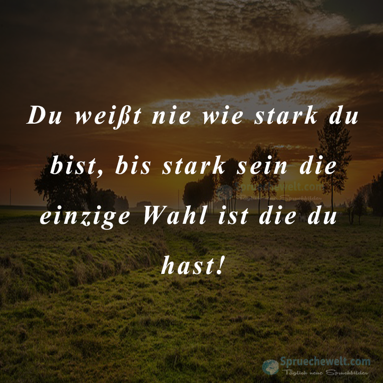 Du weisst nie wie stark du bist