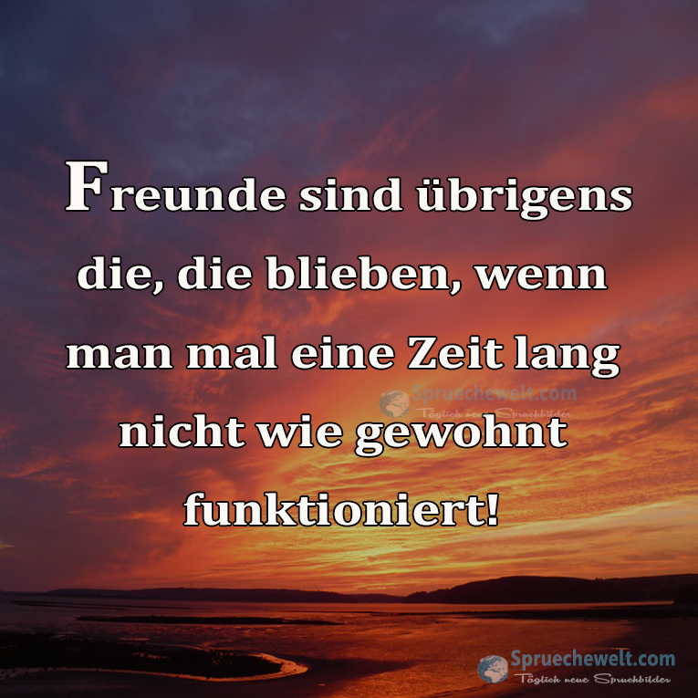 Freunde sind uebrigens die