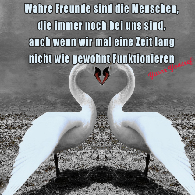 Wahre Freunde sind die Menschen