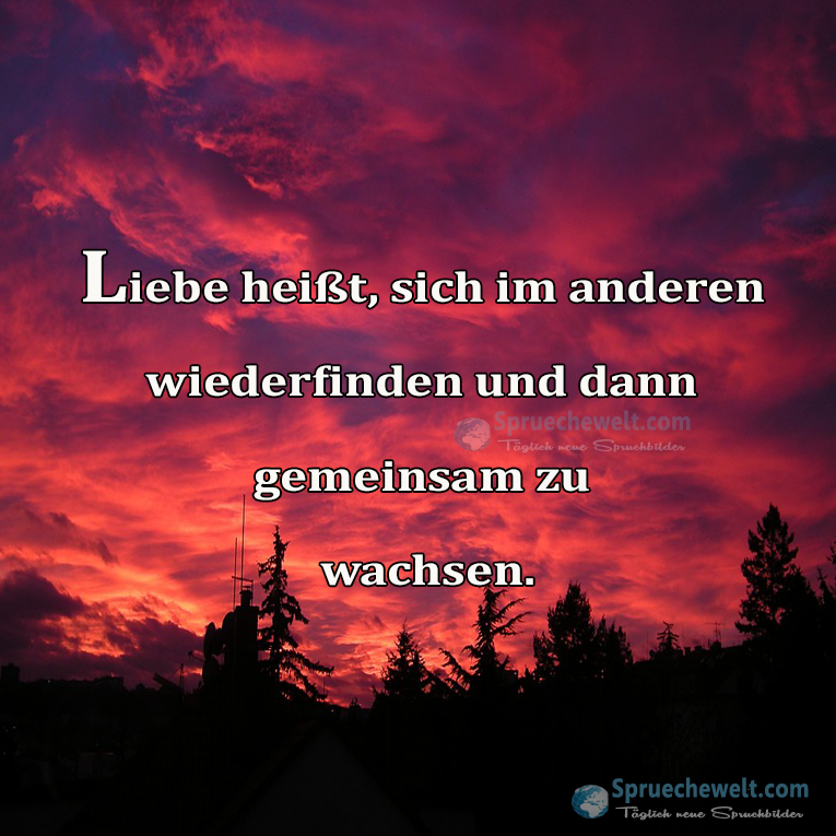 Liebe heisst