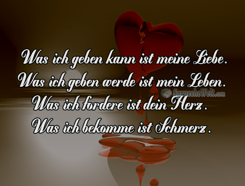 Was ich geben kann ist meine Liebe.