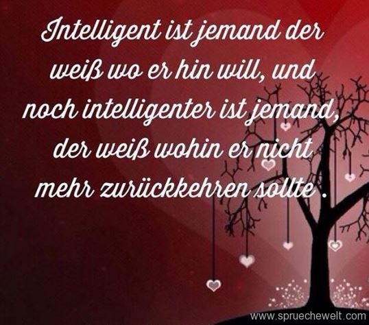 Intelligent ist jemand der weiss wo er