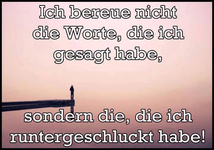 Ich bereue nicht die Worte..