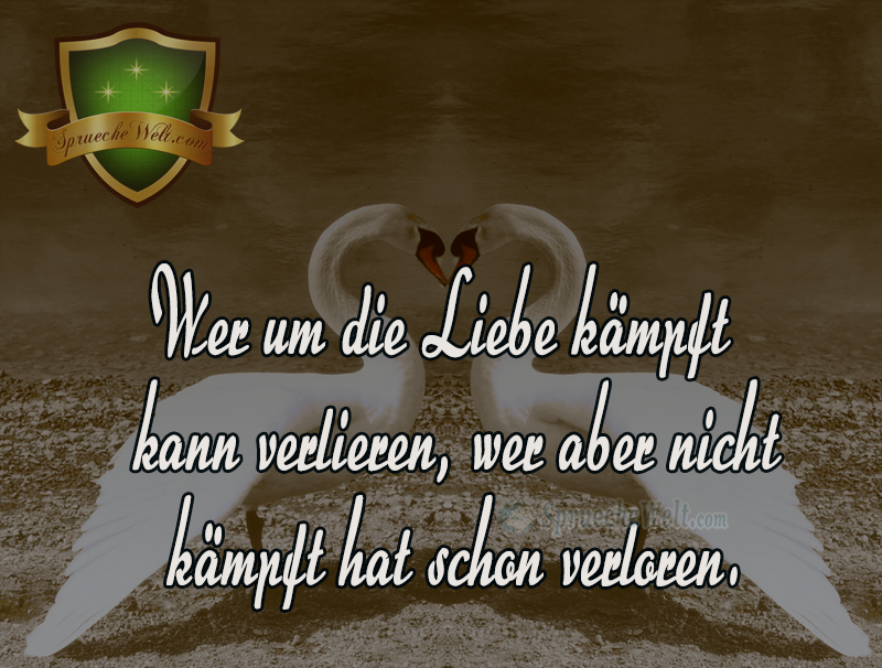 Wer um die Liebe kaempft kann verlieren