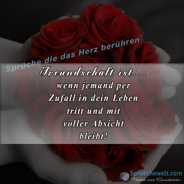 Freundschaft ist