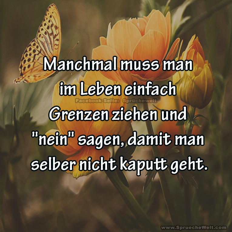 Manchmal muss man im Leben